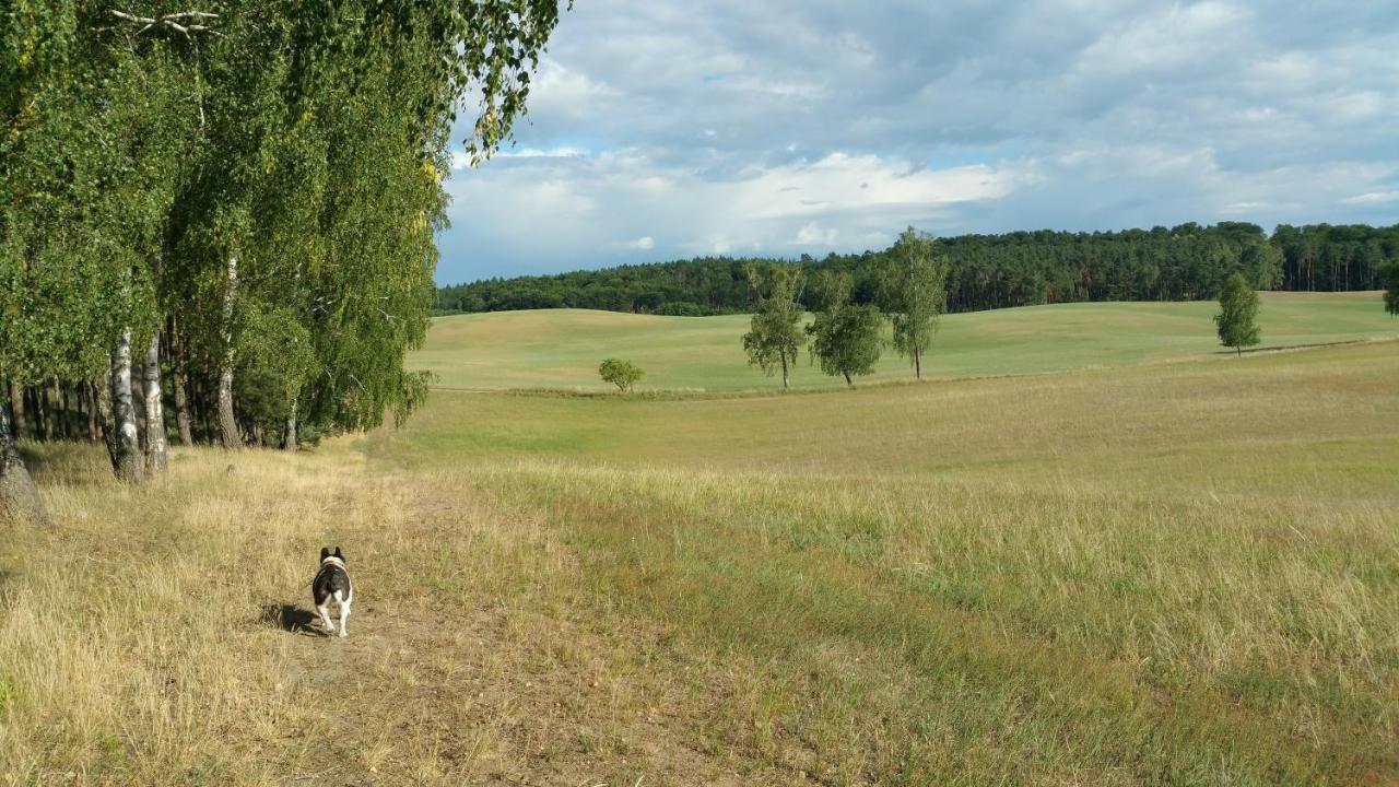 Blankenburg  Haus An Der Pferdekoppel Am Blankenburger See מראה חיצוני תמונה