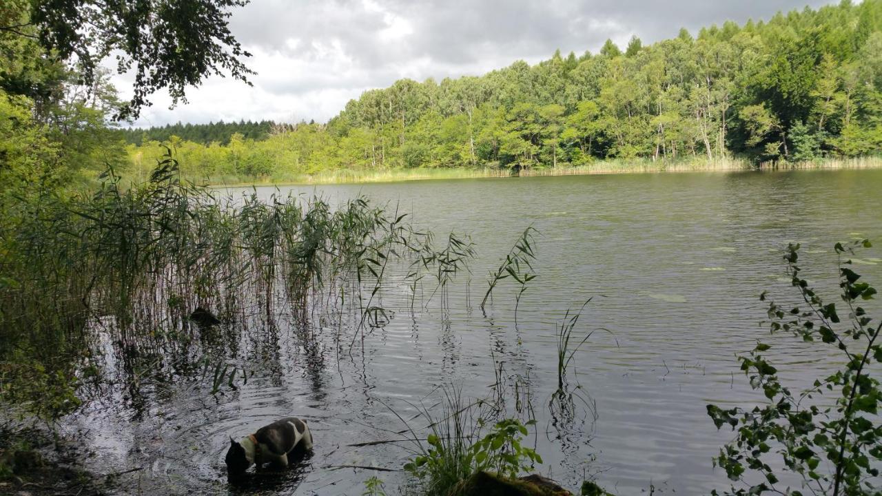 Blankenburg  Haus An Der Pferdekoppel Am Blankenburger See מראה חיצוני תמונה